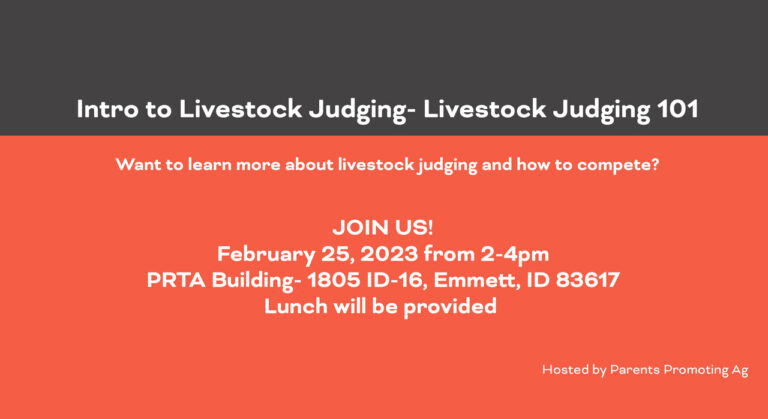 Livestock Judging 101