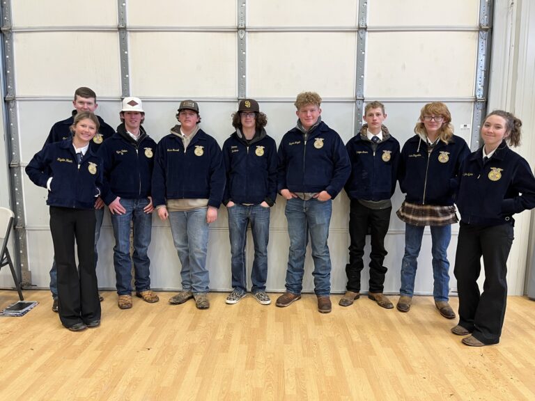 FFA Livestock Judging